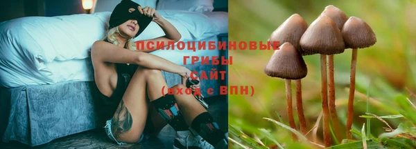 гашиш Белокуриха