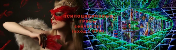 COCAINE Богородицк