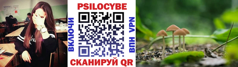 Псилоцибиновые грибы Cubensis  Бирюсинск 